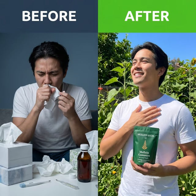 Mullein Gummies for Lung Health