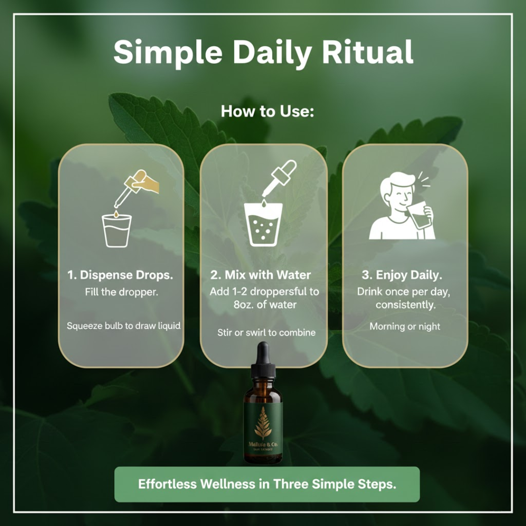 Mullein & Co.™ Lung Support Drops